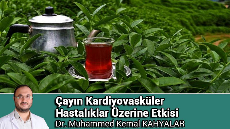 Dr. Muhammed Kemal Kahyalar Yazdı: Çayın Kardiyovasküler Hastalıklar Üzerine Etkisi...